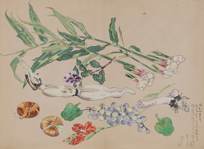 岸波百草居《写生（野菜）》1940年　世田谷美術館蔵